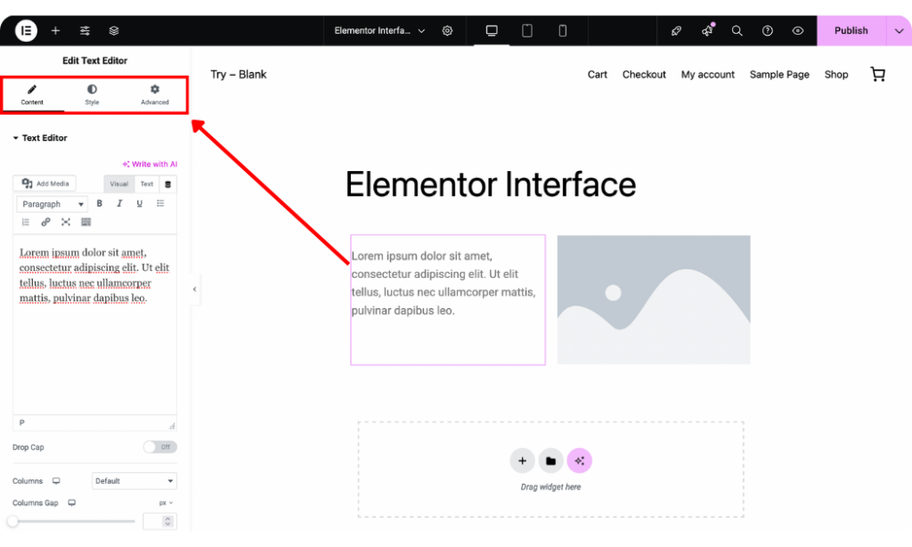 Elementor sidebar panel for customization
