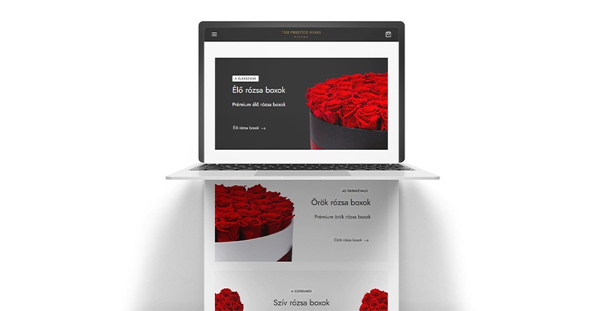 SOLAR STUDIOS featured image
